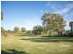 302 Gerhardts Lane, Roma QLD 4455