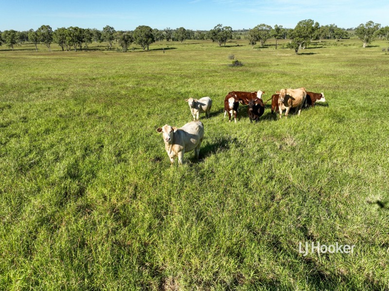 302 Gerhardts Lane, Roma QLD 4455