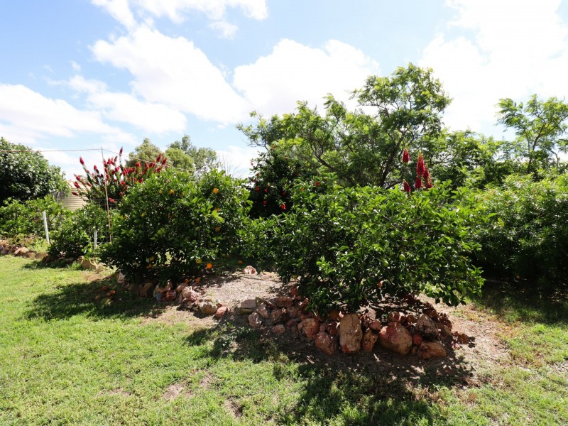 19 Russell Street, Wallumbilla QLD 4428