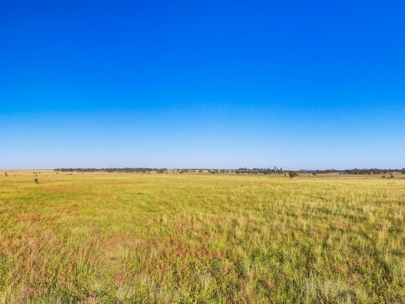 300 Bindango Road, Roma QLD 4455