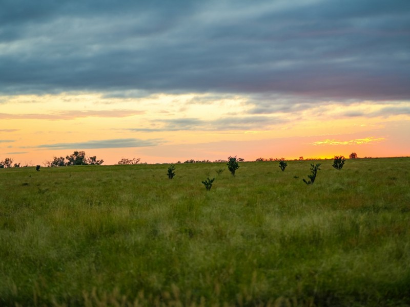 300 Bindango Road, Roma QLD 4455