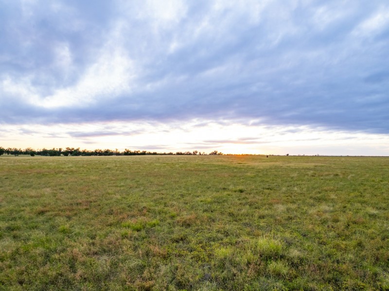 300 Bindango Road, Roma QLD 4455