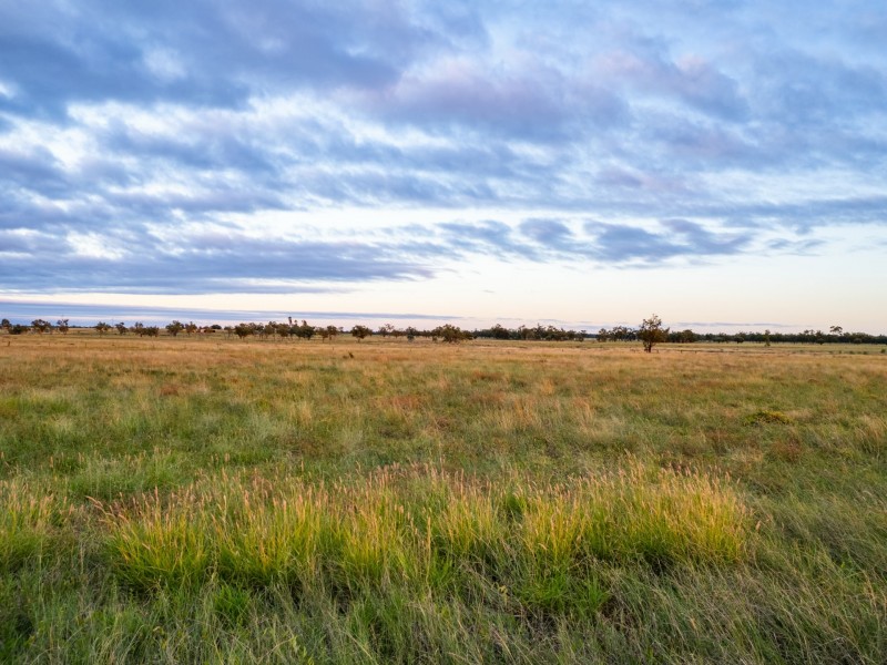 300 Bindango Road, Roma QLD 4455