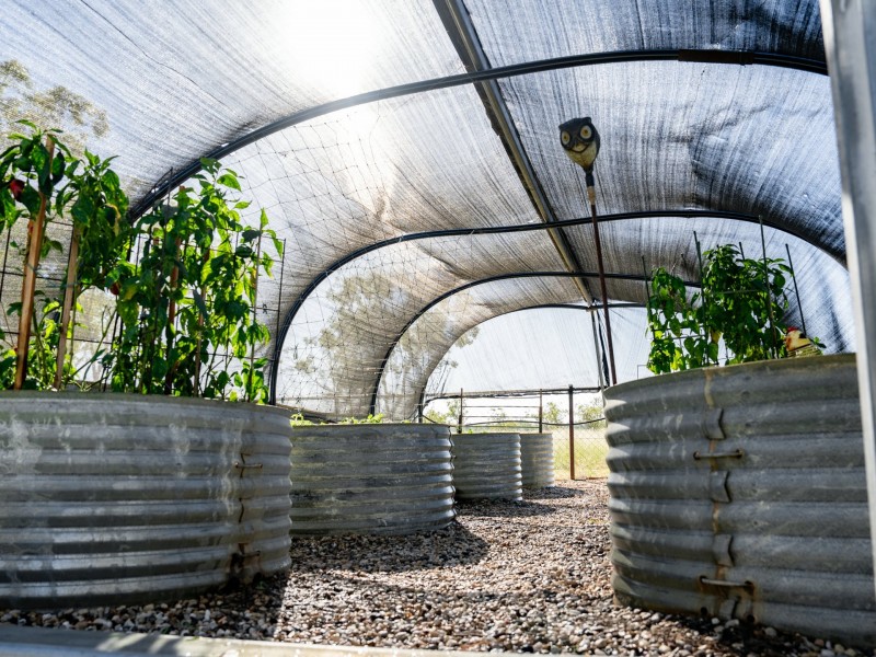 370 Bindango Road, Roma QLD 4455