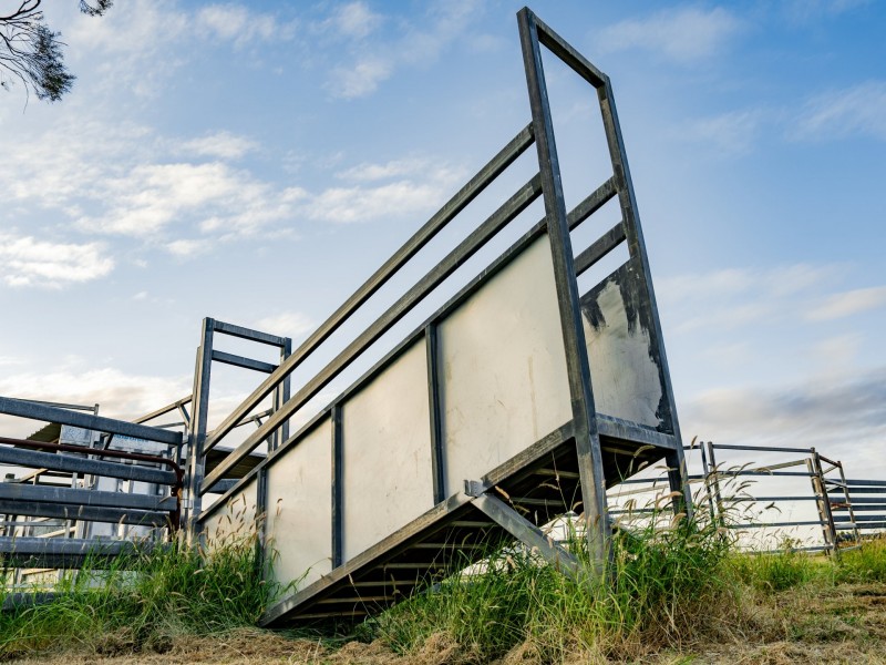 370 Bindango Road, Roma QLD 4455