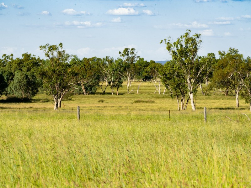 370 Bindango Road, Roma QLD 4455