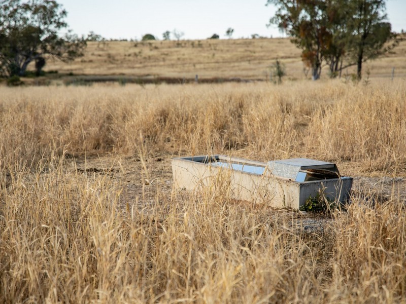 1180 Dargal Road, Roma QLD 4455