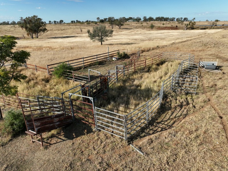 1180 Dargal Road, Roma QLD 4455