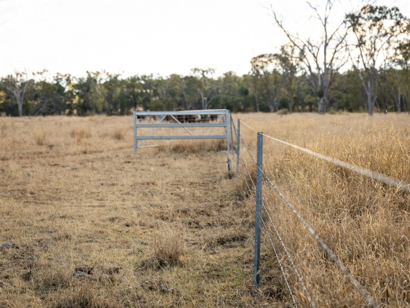 1180 Dargal Road, Roma QLD 4455