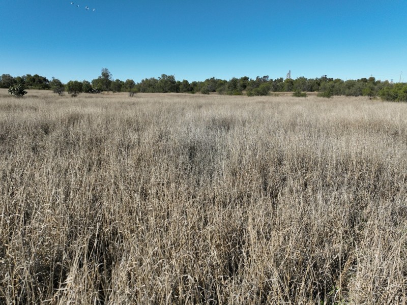 44464 Warrego Highway E, Roma QLD 4455