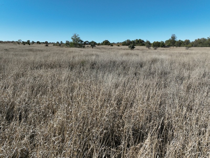 44464 Warrego Highway E, Roma QLD 4455