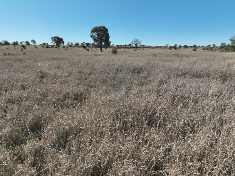 44464 Warrego Highway E, Roma QLD 4455