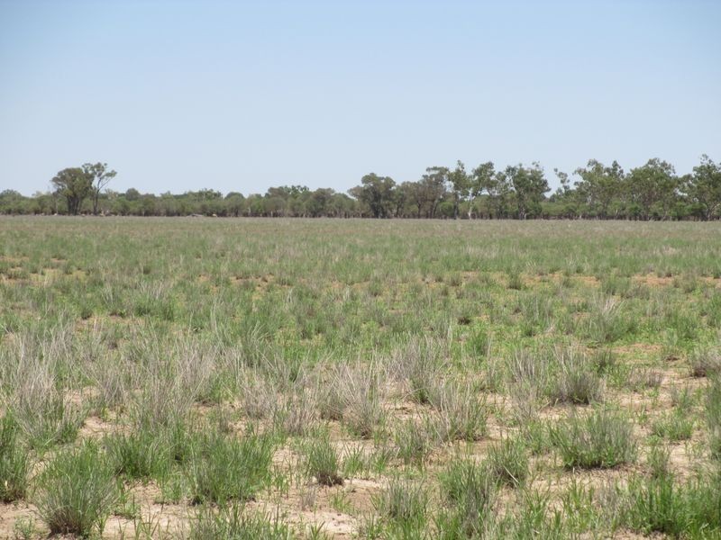 RIVERVIEW, Charleville QLD 4470