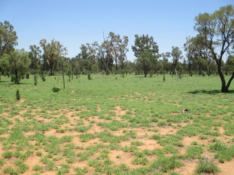 RIVERVIEW, Charleville QLD 4470