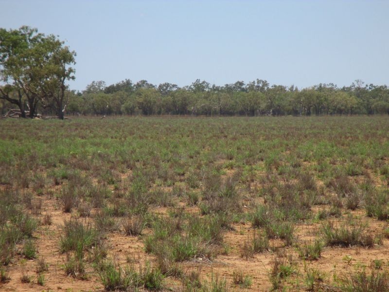 RIVERVIEW, Charleville QLD 4470