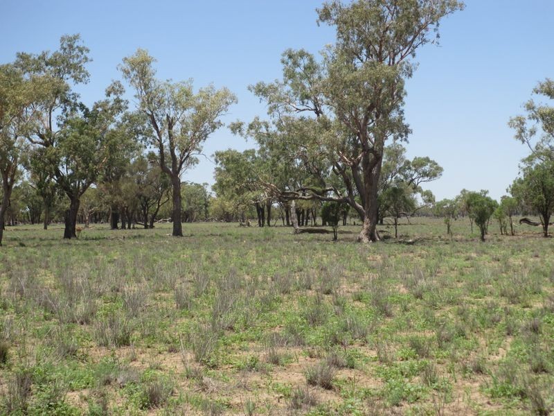 RIVERVIEW, Charleville QLD 4470