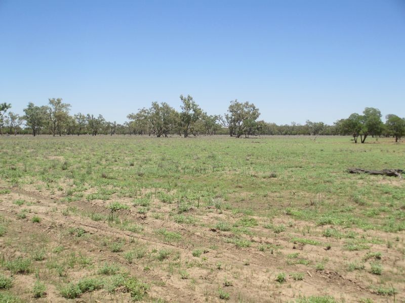 RIVERVIEW, Charleville QLD 4470