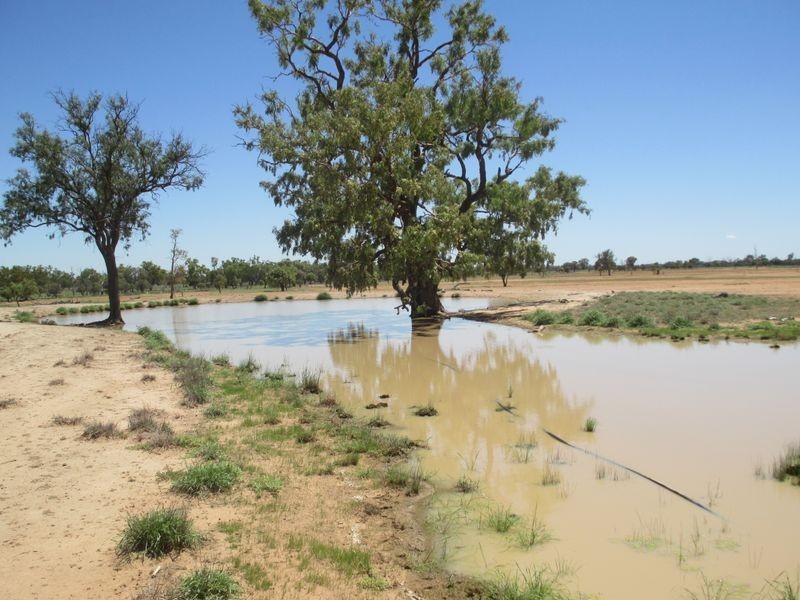 RIVERVIEW, Charleville QLD 4470