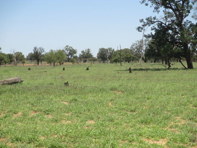 RIVERVIEW, Charleville QLD 4470