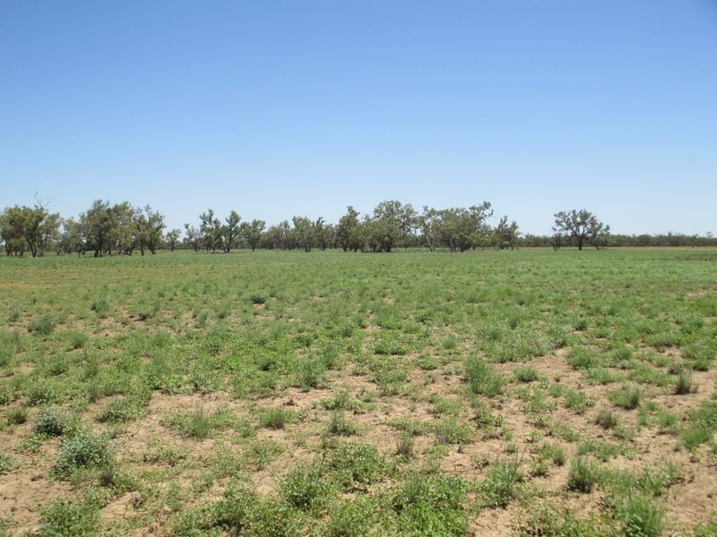 RIVERVIEW, Charleville QLD 4470