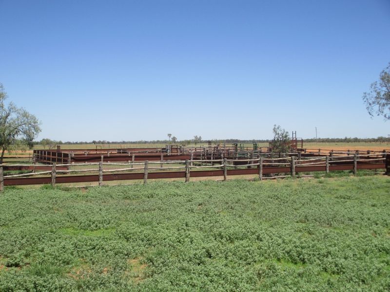 RIVERVIEW, Charleville QLD 4470