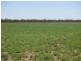 ‘Riverview, Charleville QLD 4470
