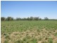 ‘Riverview, Charleville QLD 4470