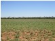 ‘Riverview, Charleville QLD 4470