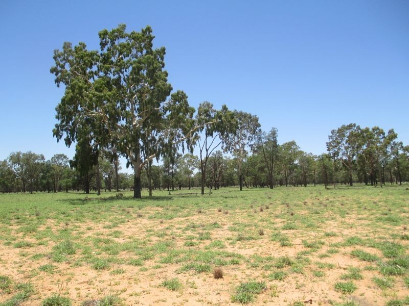 ‘Riverview, Charleville QLD 4470