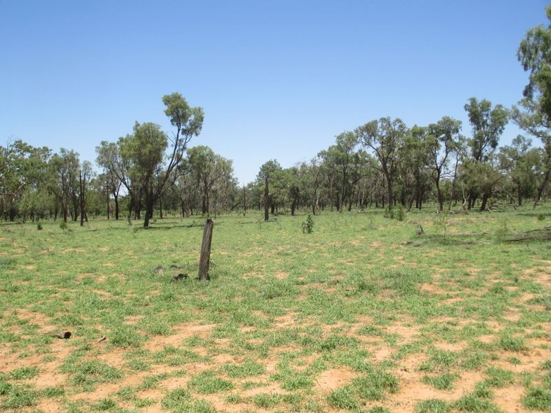 ‘Riverview, Charleville QLD 4470