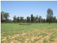 ‘Riverview, Charleville QLD 4470