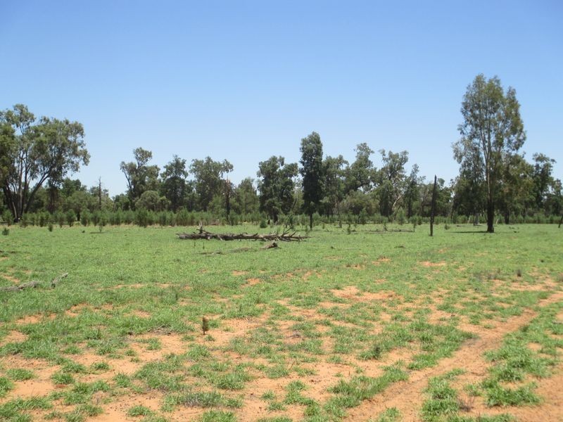 ‘Riverview, Charleville QLD 4470