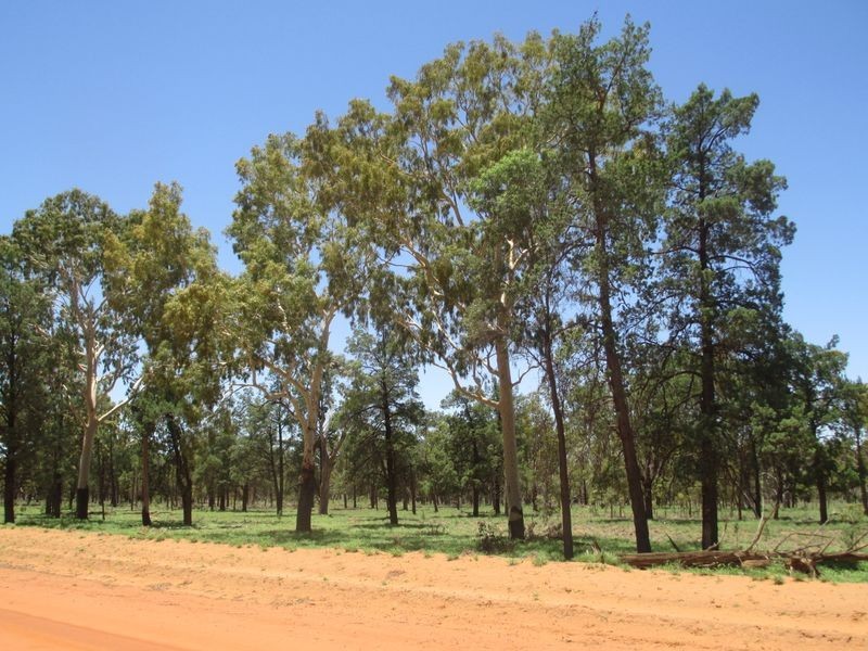 ‘Riverview, Charleville QLD 4470