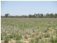 ‘Riverview, Charleville QLD 4470