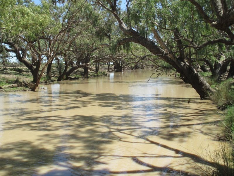 ‘Riverview, Charleville QLD 4470