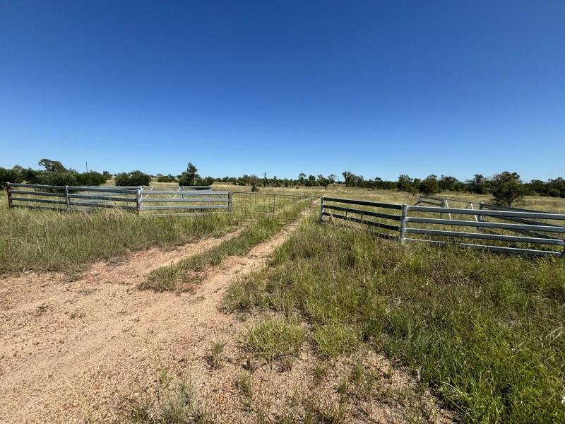 33 Abbey Road, Roma QLD 4455