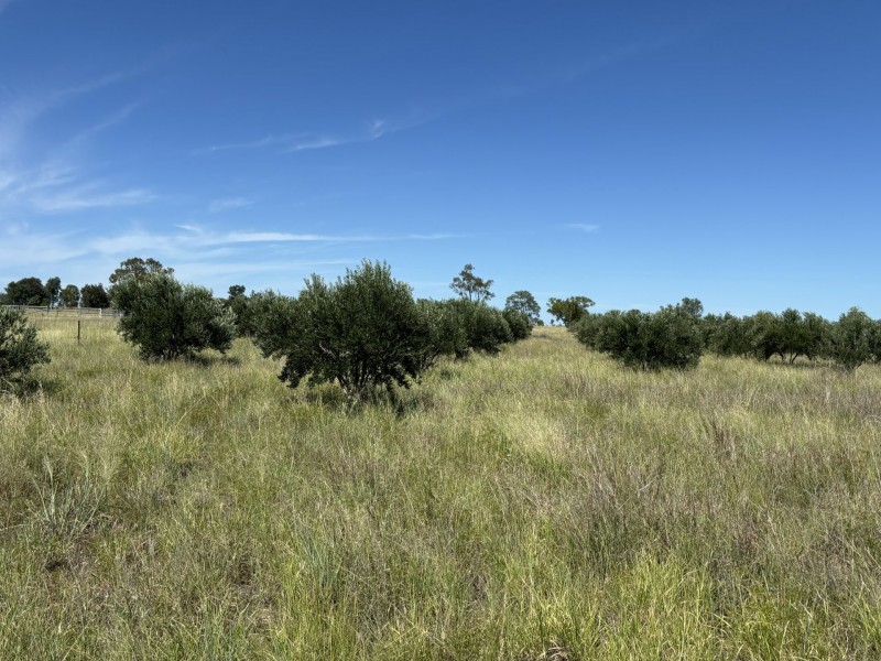 33 Abbey Road, Roma QLD 4455