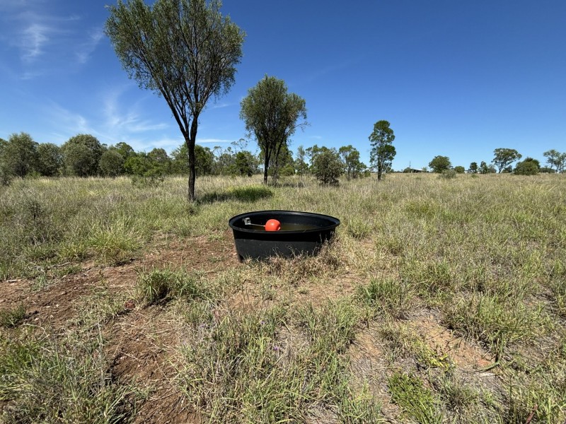 33 Abbey Road, Roma QLD 4455