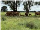 351 Hannaford Road, Hannaford QLD 4406
