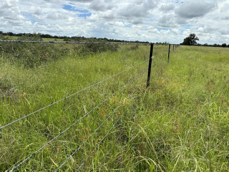 351 Hannaford Road, Hannaford QLD 4406