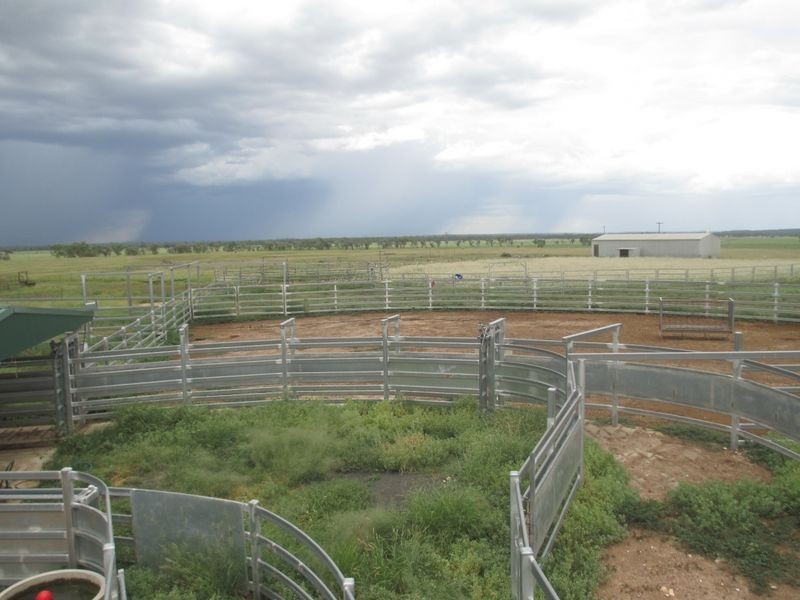 312 Bollon Road, Mitchell QLD 4465