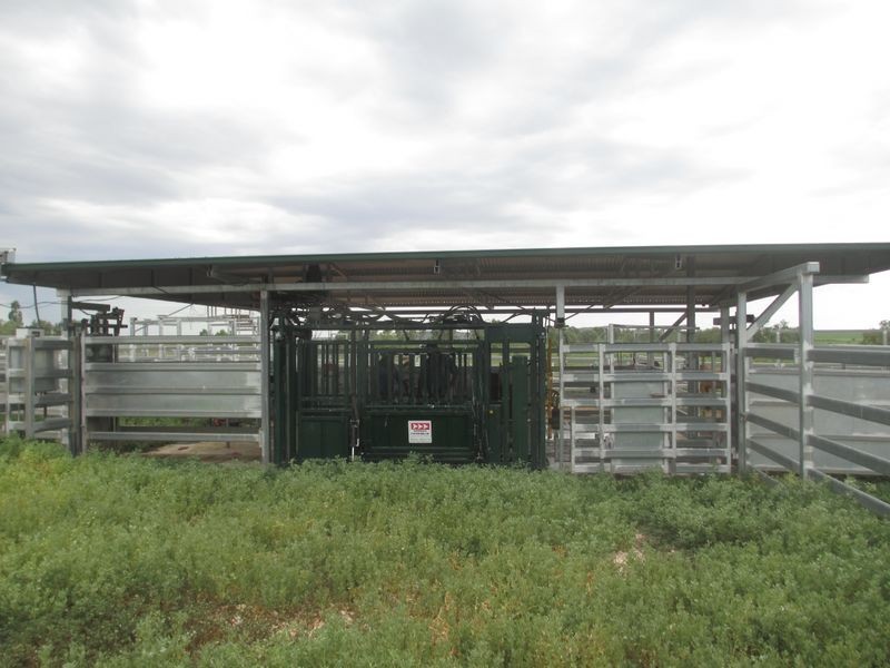 312 Bollon Road, Mitchell QLD 4465