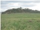 312 Bollon Road, Mitchell QLD 4465