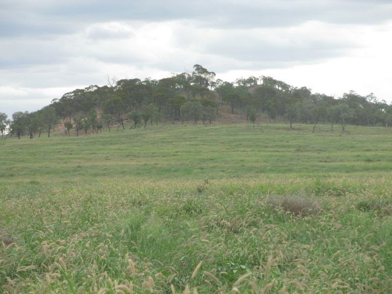 312 Bollon Road, Mitchell QLD 4465