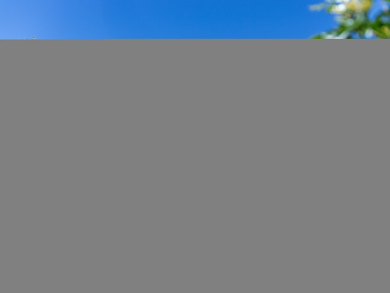 17 Rosedale Close, Roma QLD 4455