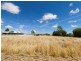 12 Bromeliad Circuit, Roma QLD 4455