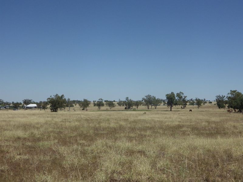 95 Richardsons Lane, Roma QLD 4455