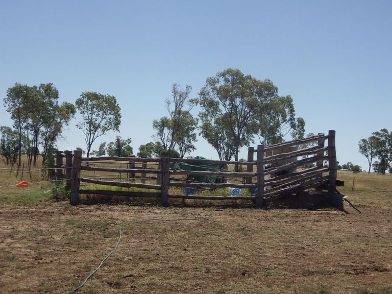 95 Richardsons Lane, Roma QLD 4455