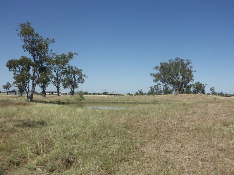 95 Richardsons Lane, Roma QLD 4455