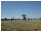 95 Richardsons Lane, Roma QLD 4455
